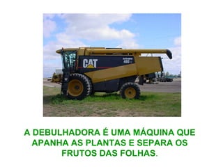 A DEBULHADORA É UMA MÁQUINA QUE
APANHA AS PLANTAS E SEPARA OS
FRUTOS DAS FOLHAS.
 