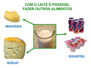 COM O LEITE É POSSÍVEL
FAZER OUTROS ALIMENTOS
MANTEIGA
QUEIJO
IOGURTES
 