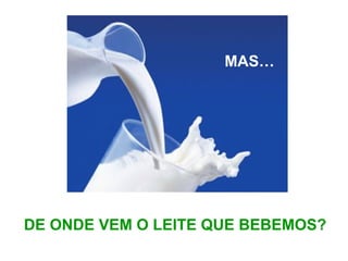 DE ONDE VEM O LEITE QUE BEBEMOS?
MAS…
 