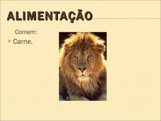 ALIMENTAÇÃO Comem: Carne. 