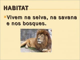 HABITAT Vivem na selva, na savana e nos bosques. 