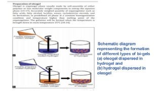 Schematic diagram
representing the formation
of different types of bi-gels
(a) oleogel dispersed in
hydrogel and
(b) hydrogel dispersed in
oleogel
 