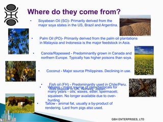• Palm Oil (PO)- Primarily derived from the palm oil plantations
in Malaysia and Indonesia is the major feedstock in Asia.
• Coconut - Major source Philippines. Declining in use.
• Fish oil (FH) - Predominantly used in Chile/Peru.
Was popular in UK, Norway, Japan.
• Canola/Rapeseed - Predominantly grown in Canada and
northern Europe. Typically has higher poisons than soya.
• Soyabean Oil (SO)- Primarily derived from the
major soya states in the US, Brazil and Argentina.
• Tallow - animal fat, usually a by-product of
rendering. Lard from pigs also used.
Where do they come from?
• Whales - major source of oleochemicals for
many years - oils, waxes, ester, spermaceti,
squaleen. No longer available due to over-
hunting
 