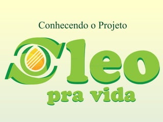 Conhecendo o Projeto 