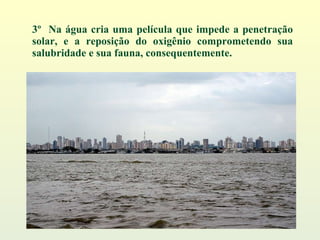 3º  Na água cria uma película que impede a penetração solar, e a reposição do oxigênio comprometendo sua salubridade e sua fauna, consequentemente. 