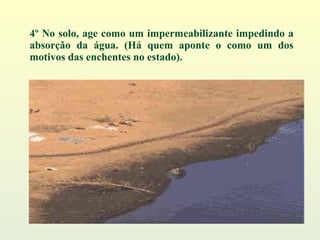 4º No solo, age como um impermeabilizante impedindo a absorção da água. (Há quem aponte o como um dos motivos das enchentes no estado). 