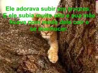 Ele adorava subir em árvores.  E ele subia muito alto e sua mãe ficava com medo dele cair e se machucar. 