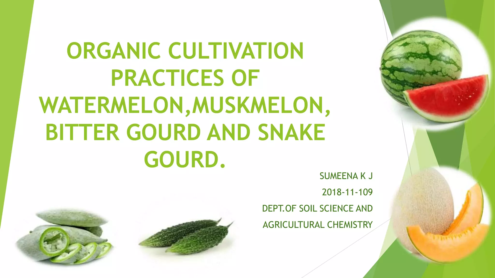ORGANIC CULTIVATION PRACTICES OF WATERMELON,MUSKMELON, BITTER GOURD AND ...