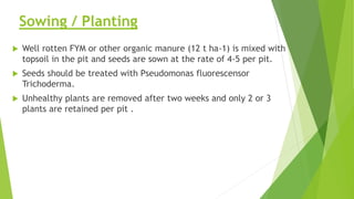Fym Well Rotted ORGANIC CULTIVATION PRACTICES OF WATERMELON,MUSKMELON, BITTER GOURD AND ...