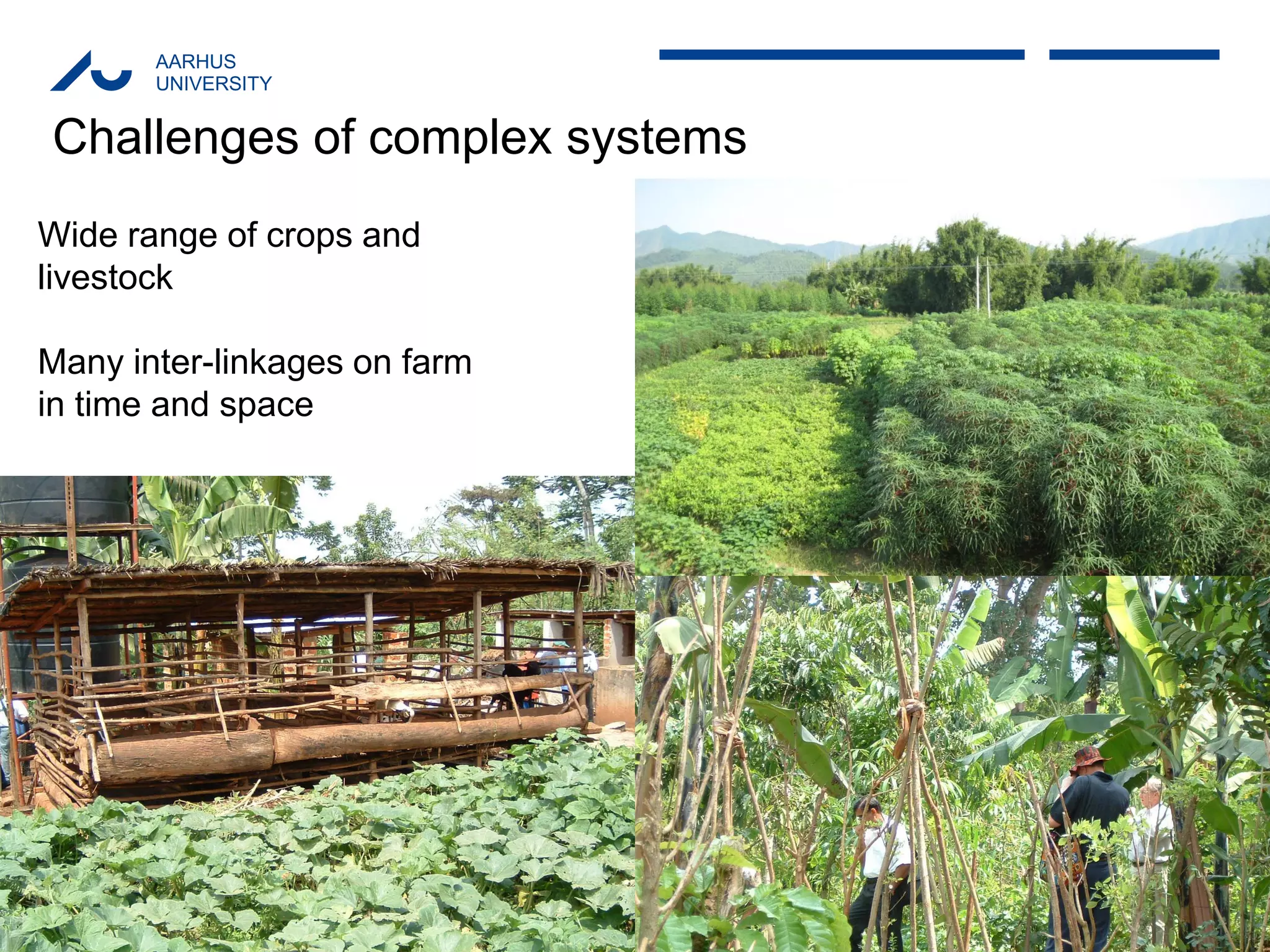 AARHUS 
UNIVERSITY 
Challenges of complex systems 
Wide range of crops and 
livestock 
Many inter-linkages on farm 
in time and space  