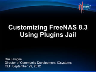 Customizing FreeNAS 8.3
     Using Plugins Jail


Dru Lavigne
Director of Community Development, iXsystems
OLF, September 29, 2012
 