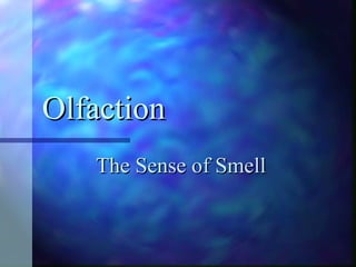 Olfaction The Sense of Smell 