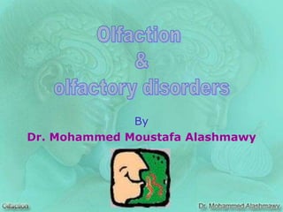 By
Dr. Mohammed Moustafa Alashmawy
 