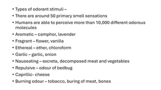 Olfaction.pdf having the pathway , disorder | PDF
