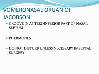 VOMERONASAL ORGAN OF
JACOBSON
 GROOVE IN ANTEROINFERIOR PART OF NASAL
SEPTUM
 PHERMONES
 DO NOT DISTURB UNLESS NECESSARY IN SEPTAL
SURGERY
 
