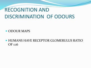 RECOGNITION AND
DISCRIMINATION OF ODOURS
 ODOUR MAPS
 HUMANS HAVE RECEPTOR GLOMERULUS RATIO
OF 1:16
 