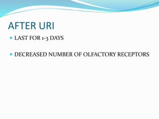 AFTER URI
 LAST FOR 1-3 DAYS
 DECREASED NUMBER OF OLFACTORY RECEPTORS
 