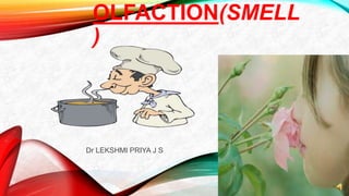OLFACTION(SMELL
)
Dr LEKSHMI PRIYA J S
 