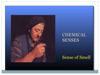 CHEMICALCHEMICAL
SENSESSENSES
Sense of SmellSense of Smell
 