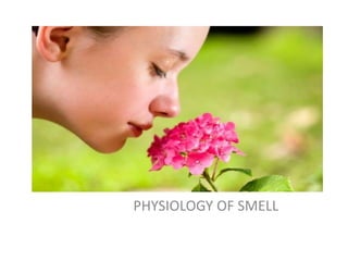 PHYSIOLOGY OF SMELL
 
