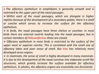 Olfactory and gustatory receptors | PPTX