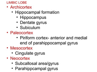 Olfactory and limbic system 20052025.pptx