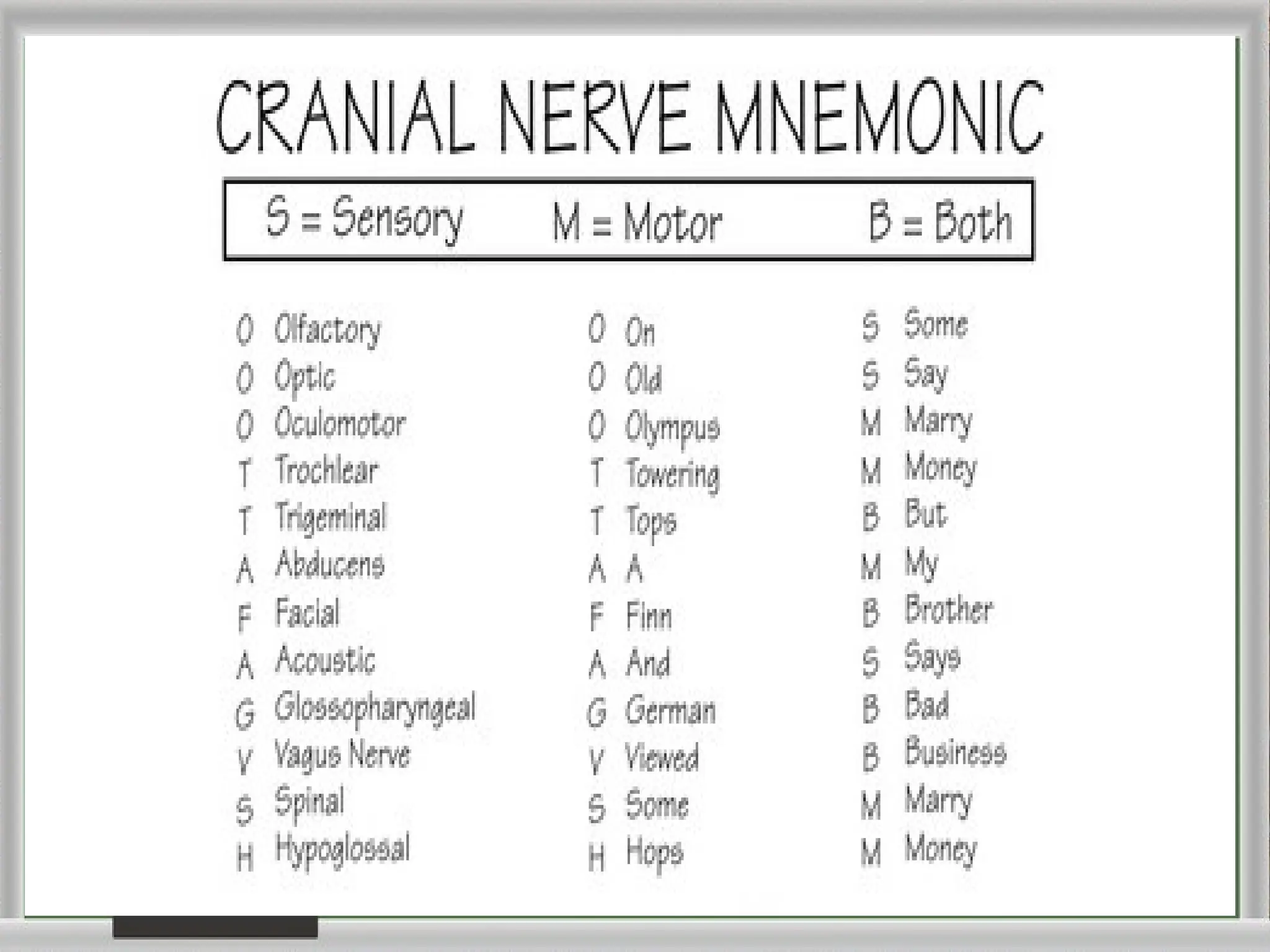 Cranial Nerves Mnemonic Chart