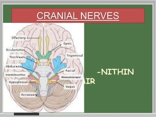 CRANIAL NERVES
-NITHIN
NAIR
 