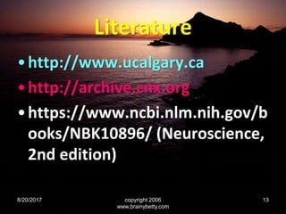 Literature
•http://www.ucalgary.ca
•http://archive.cnx.org
•https://www.ncbi.nlm.nih.gov/b
ooks/NBK10896/ (Neuroscience,
2nd edition)
8/20/2017 copyright 2006
www.brainybetty.com
13
 