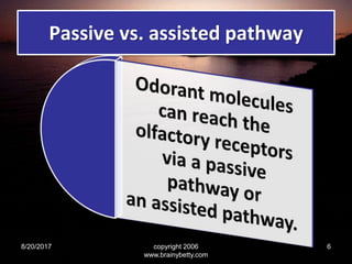 Passive vs. assisted pathway
8/20/2017 copyright 2006
www.brainybetty.com
6
 