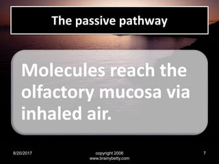 The passive pathway
Molecules reach the
olfactory mucosa via
inhaled air.
8/20/2017 copyright 2006
www.brainybetty.com
7
 