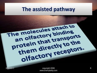 The assisted pathway
8/20/2017 copyright 2006
www.brainybetty.com
8
 