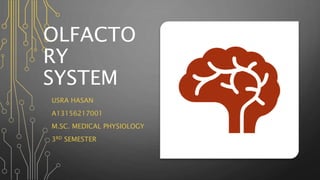 OLFACTO
RY
SYSTEM
USRA HASAN
A13156217001
M.SC. MEDICAL PHYSIOLOGY
3RD SEMESTER
 