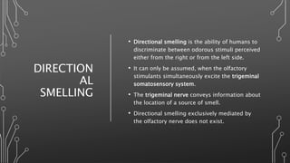 Olfactory system | PPTX