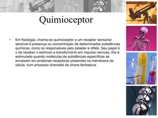 Quimioceptor
• Em fisiologia, chama-se quimioceptor a um receptor sensorial
sensível à presença ou concentração de determinadas substâncias
químicas, como os responsáveis pelo paladar e olfato. Seu papel é
o de receber o estímulo e transformá-lo em impulso nervoso. Ele é
estimulado quando moléculas de substâncias específicas se
encaixam em proteínas receptoras presentes na membrana da
célula, num processo chamado de chave-fechadura.
 
