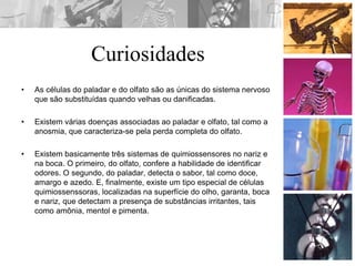 Curiosidades
• As células do paladar e do olfato são as únicas do sistema nervoso
que são substituídas quando velhas ou danificadas.
• Existem várias doenças associadas ao paladar e olfato, tal como a
anosmia, que caracteriza-se pela perda completa do olfato.
• Existem basicamente três sistemas de quimiossensores no nariz e
na boca. O primeiro, do olfato, confere a habilidade de identificar
odores. O segundo, do paladar, detecta o sabor, tal como doce,
amargo e azedo. E, finalmente, existe um tipo especial de células
quimiossenssoras, localizadas na superfície do olho, garanta, boca
e nariz, que detectam a presença de substâncias irritantes, tais
como amônia, mentol e pimenta.
 