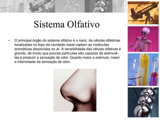 Sistema Olfativo
• O principal órgão do sistema olfativo é o nariz. As células olfatórias
localizadas no topo da cavidade nasal captam as moléculas
aromáticas dissolvidas no ar. A sensibilidade das células olfativas é
grande, de modo que poucas partículas são capazes de estimulá-
las e produzir a sensação de odor. Quanto maior o estimulo, maior
a intensidade da sensação de odor.
 
