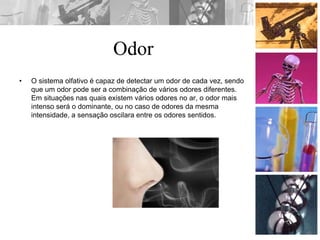 Odor
• O sistema olfativo é capaz de detectar um odor de cada vez, sendo
que um odor pode ser a combinação de vários odores diferentes.
Em situações nas quais existem vários odores no ar, o odor mais
intenso será o dominante, ou no caso de odores da mesma
intensidade, a sensação oscilara entre os odores sentidos.
 