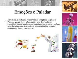 Emoções e Paladar
• Além disso, o olfato está relacionado às emoções e ao paladar.
Pessoas que perdem o olfato, sofrem uma diminuição na
intensidade das sensações antes agradáveis, como comer, ou fazer
sexo. Em algumas a diminuição de intensidade afeta todas as
experiências de cunho emocional.
 
