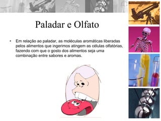 Paladar e Olfato
• Em relação ao paladar, as moléculas aromáticas liberadas
pelos alimentos que ingerimos atingem as células olfatórias,
fazendo com que o gosto dos alimentos seja uma
combinação entre sabores e aromas.
 