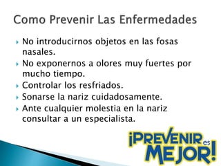 No introducirnos objetos en las fosas
nasales.
 No exponernos a olores muy fuertes por
mucho tiempo.
 Controlar los resfriados.
 Sonarse la nariz cuidadosamente.
 Ante cualquier molestia en la nariz
consultar a un especialista.
 