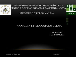 UNIVERSIDADE FEDERAL DO MARANHÃO-UFMA
CENTRO DE CIÊCIAS ÁGRARIAS E AMBIENTAL-CCAA
ANATOMIA E FISIOLOGIA ANIMAL
ANATOMIA E FISIOLOGIA DO OLFATO
DISCENTES:
DÁRIO SOUSA
27/04/2017SENTIDO DA OLFAÇÃO 1
 