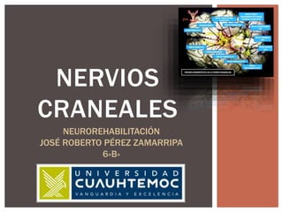 NERVIOS
CRANEALES
NEUROREHABILITACIÓN
JOSÉ ROBERTO PÉREZ ZAMARRIPA
6»B»
 