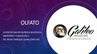 OLFATO
LICENCIATURA EN QUÍMICA BIOLÓGICA
ANATOMÍA Y FISIOLOGÍA II
DR. REGIO ENRIQUE QUIM LÓPEZ MS.C
 