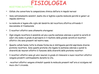 FISIOLOGIARECETTORI OLFATTIVI
●
Cellule che convertono la composizione chimica dell’aria in impulsi nervosi
●
Sono estremamente sensibili ,basta che si leghino a poche molecole perché si generi un
impulso elettrico
●
Le molecole si legano alle ciglia del dendrite del recettore olfattivo attivando il
meccanismo di trasduzione
●
I recettori olfattivi sono altamente eterogenei
●
Ogni singolo recettore è sensibile ad una o poche sostanze odorose e quindi la varietà di
odori che siamo in grado di percepire è il risultato della grande varietà di recettori
olfattivi che sono presenti nel nostro naso.
●
Queste cellule hanno tutte la stessa forma ma si distinguono perché esprimono diverse
proteine recettore. Sono queste proteine che legano la sostanza odorose e quindi la
diversità dei neuroni olfattivi è funzione della diversità delle proteine recettori
●
I recettori olfattivi sono gli unici neuroni in grado di rinnovarsi e nuovi recettori olfattivi
vengono prodotti continuamente durante la vita.
●
recettori olfattivi vengono stimolati quando le molecole presenti nell'aria si sciolgono nel
muco che li circonda.
 