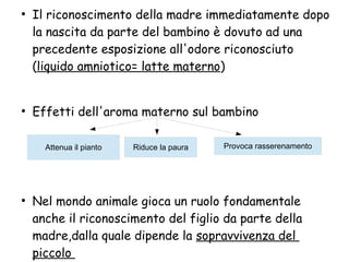 ●
Il riconoscimento della madre immediatamente dopo
la nascita da parte del bambino è dovuto ad una
precedente esposizione all'odore riconosciuto
(liquido amniotico= latte materno)
●
Effetti dell'aroma materno sul bambino
●
Nel mondo animale gioca un ruolo fondamentale
anche il riconoscimento del figlio da parte della
madre,dalla quale dipende la sopravvivenza del
piccolo
Attenua il pianto Riduce la paura Provoca rasserenamento
 