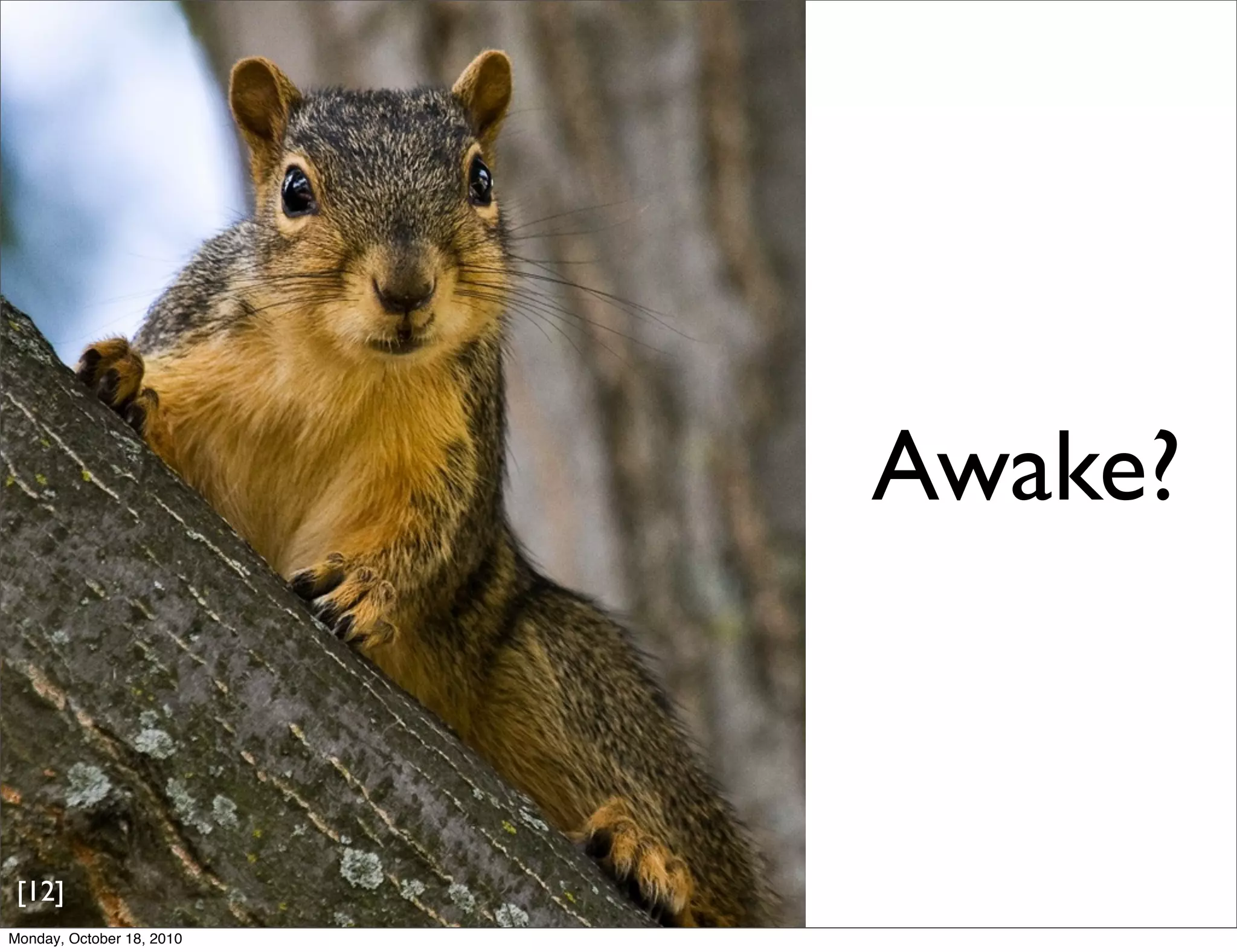 Awake?


 [12]
Monday, October 18, 2010
 