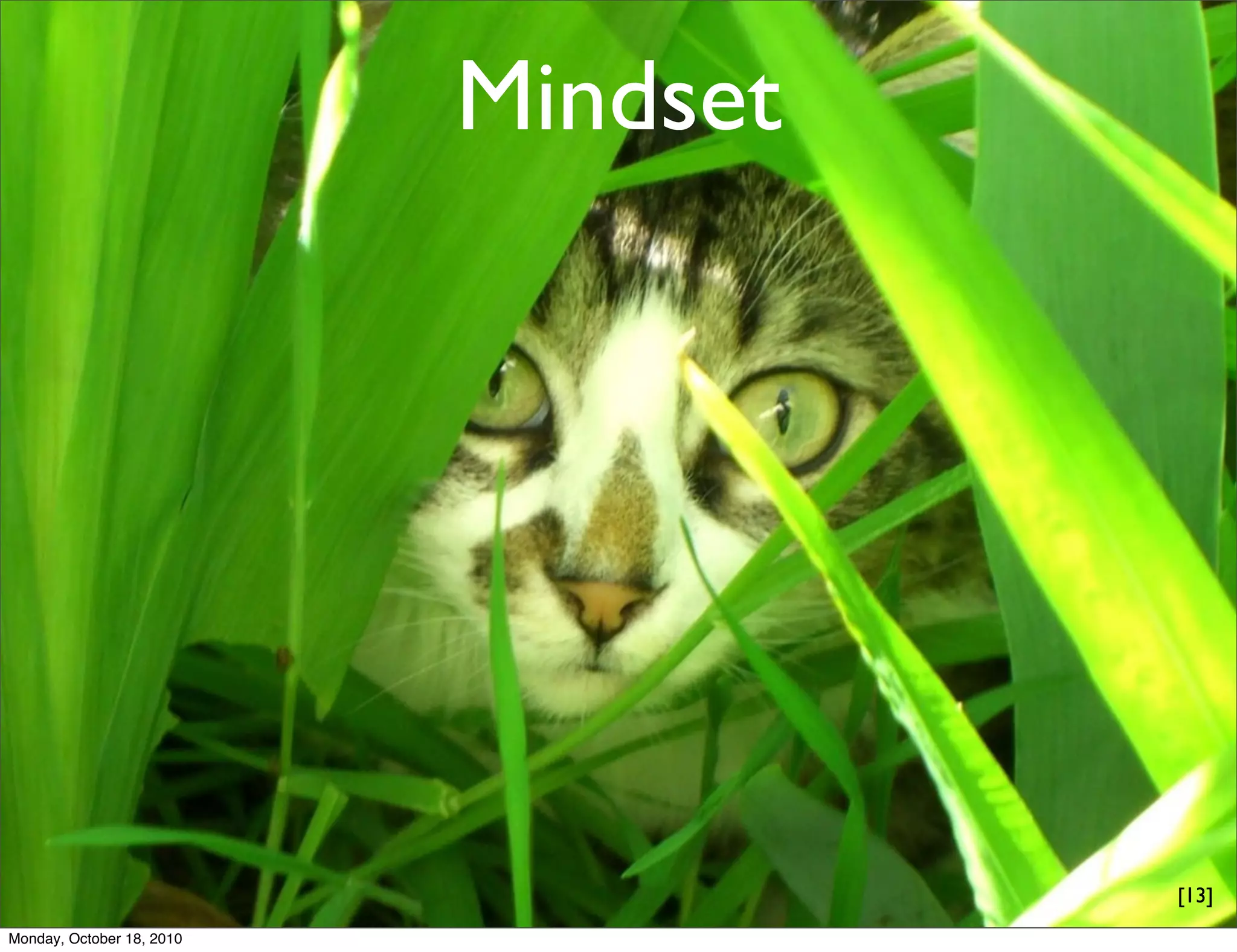Mindset




                                     [13]
Monday, October 18, 2010
 