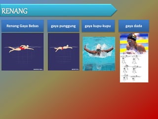 Renang Gaya Bebas gaya punggung gaya kupu-kupu gaya dada
 