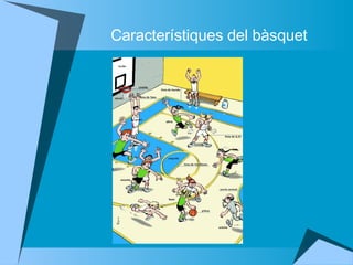 Característiques del bàsquet 